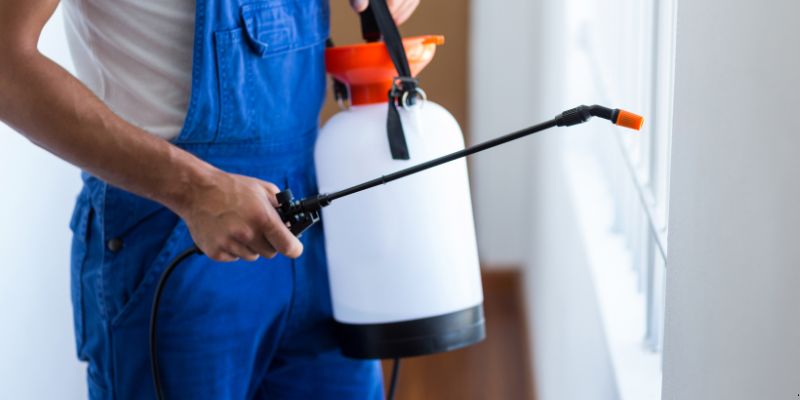 Como fazer dedetização em casa em Osasco