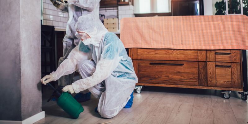 Dedetização em Apartamento Como Funciona em Osasco: Confira 4 Passos Dedetização em apartamento como funciona em Osasco