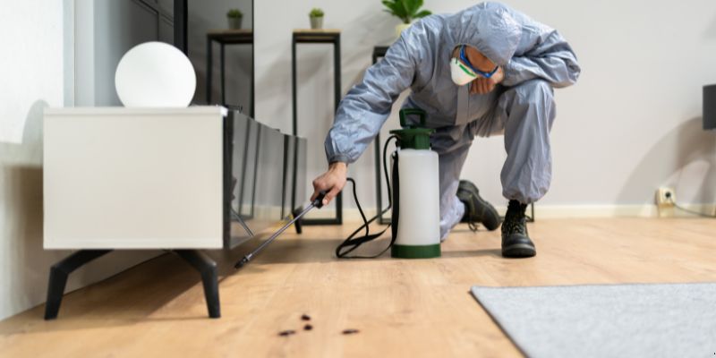 Quanto tempo dura uma dedetização em Osasco?